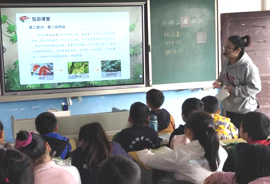 1667704223776415.png image.png