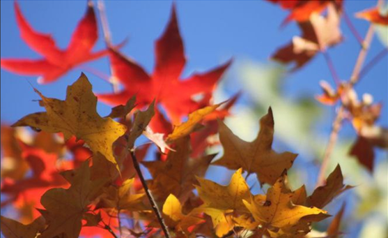 1668127744166604.png image.png