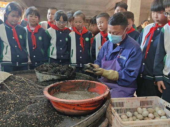 1678240852578906.png image.png