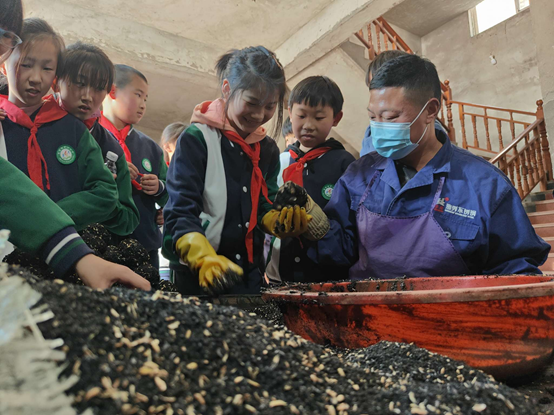 1678240872330225.png image.png