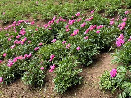 1682514674668068.png image.png