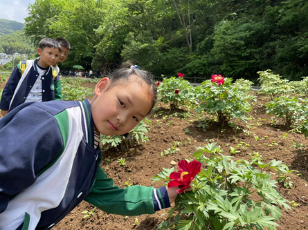 1682514686437633.png image.png