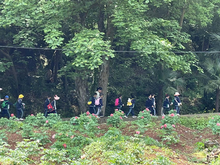 1682514708128768.png image.png