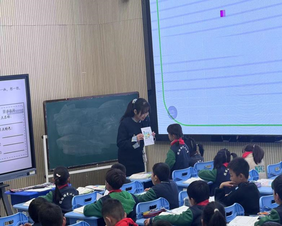 1733040915592893.png image.png